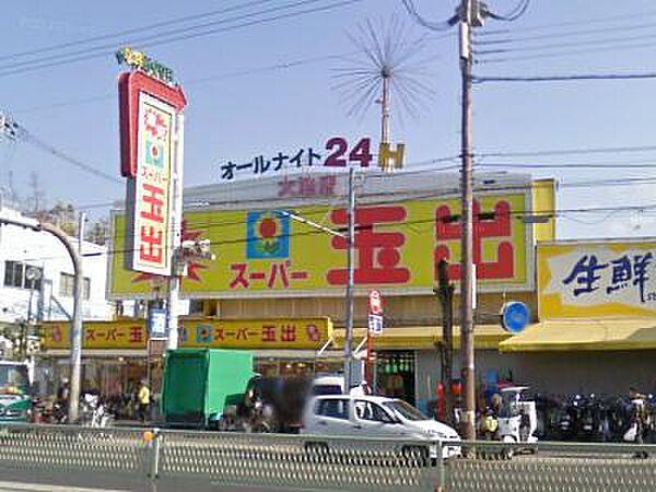 【周辺】スーパー玉出 大池店（249m）