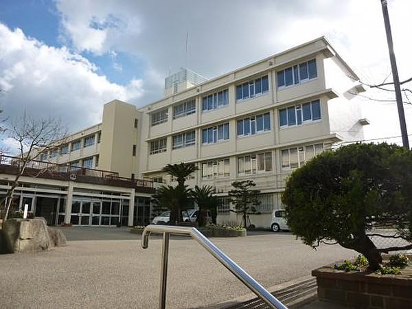 【周辺】中学校神戸市立多聞東中学校まで810ｍ