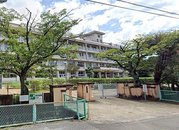 【周辺】【小学校】高知市立昭和小学校まで1162ｍ