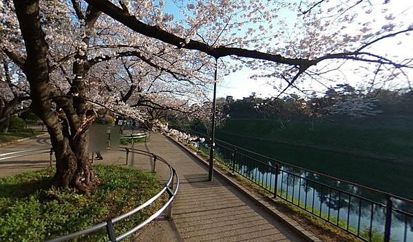 【周辺】春には桜並木を楽しめる公園