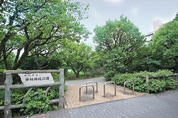 【周辺】田柄梅林公園 徒歩6分。 440m