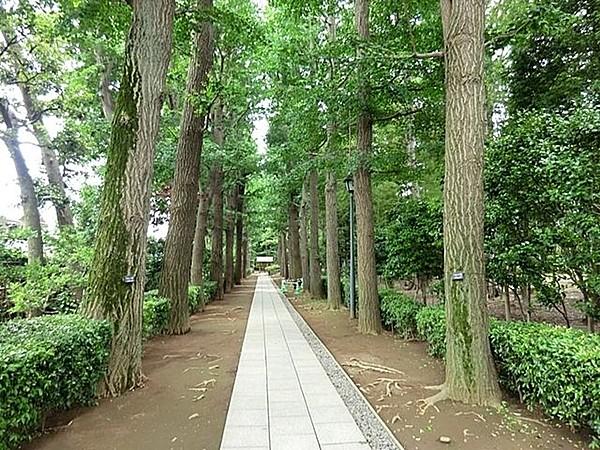 【周辺】大田黒公園 徒歩15分。 1160m
