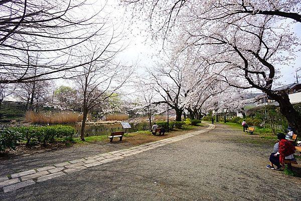 【周辺】徒歩13分。約80000平米の広大な敷地の「善福寺公園」は武蔵野市三大湧水池の一つとなっておりペットの入園も可能で午前中はお散歩や保育園児達でにぎわっています。 1010m