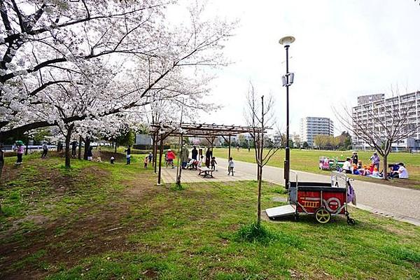 【周辺】徒歩4分。【桃井原っぱ広場】近隣のお散歩スポットはここ。日中は保育園児たちが楽しそうに遊んでいますが【桜】も見どころスポットです。 270m
