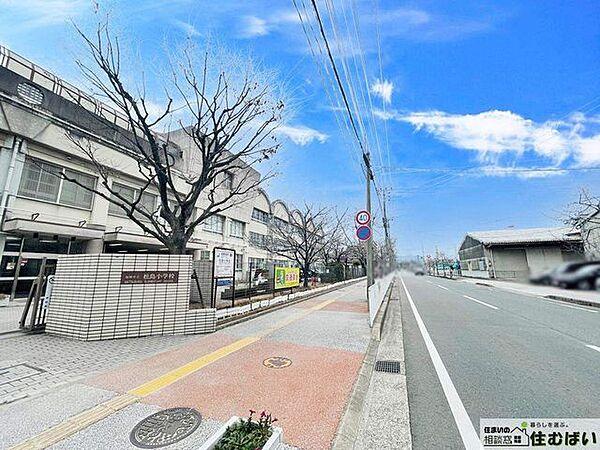 【周辺】福岡市立松島小学校 （徒歩10分）小学校がお近くで小さなお子様がいらっしゃるご家庭でも安心です♪ 700m