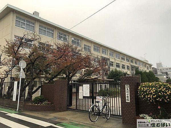 【周辺】福岡市立玉川小学校 （徒歩12分）小学校がお近くで小さなお子様がいらっしゃるご家庭でも安心です♪ 910m