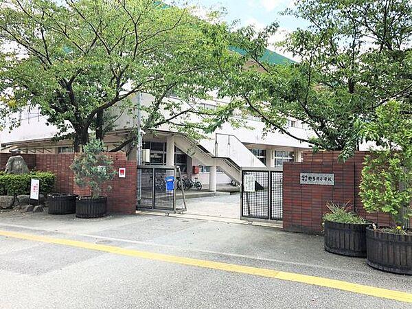 【周辺】福岡市立野多目小学校 600m