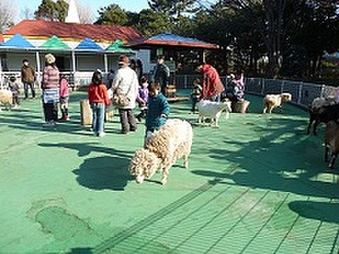 【周辺】【動物園】平塚市総合公園ふれあい動物園まで1148ｍ