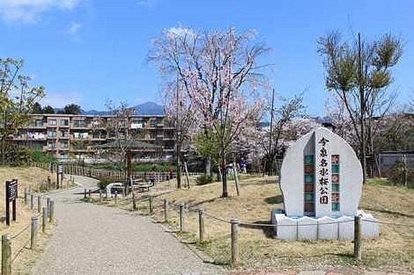 【周辺】【公園】今泉名水桜公園まで1925ｍ