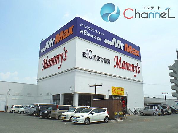 【周辺】MrMax久留米インター店 358m