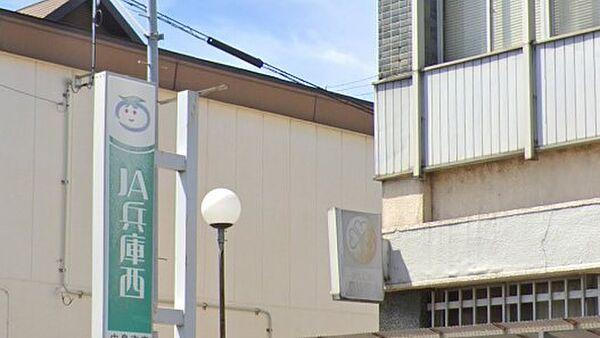 【周辺】【銀行】JA兵庫西中島支店まで764ｍ
