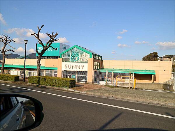 【周辺】サニー森林都市店（558m）
