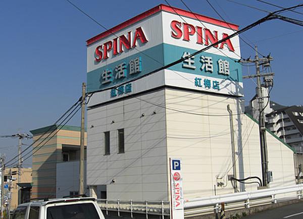 【周辺】SPINA（スピナ） 紅梅店（228m）