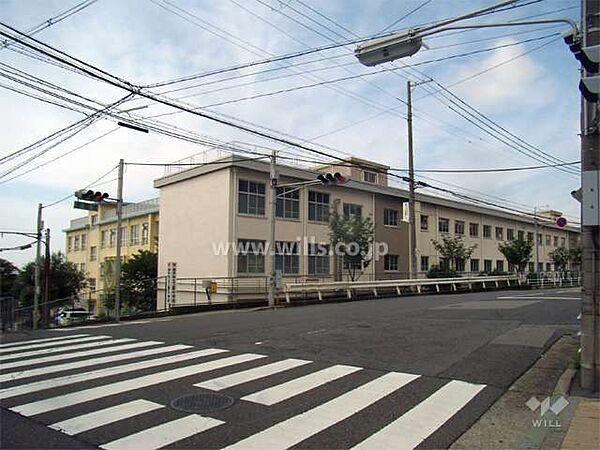 【周辺】上野中学校[公立]の外観