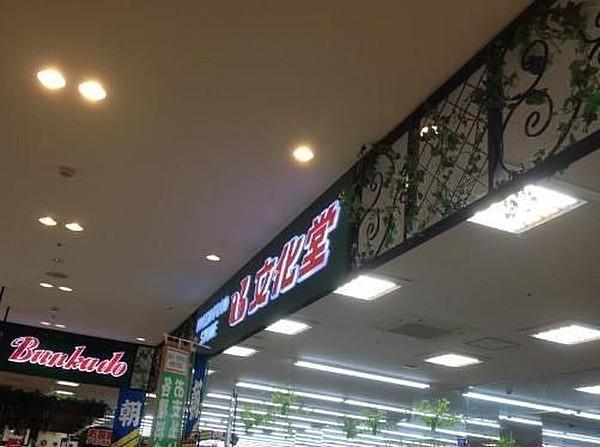 【周辺】スーパーマーケット文化堂 ウィラ大井店 1019m