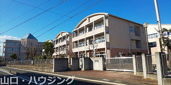 【周辺】徳島市立徳島中学校 824m