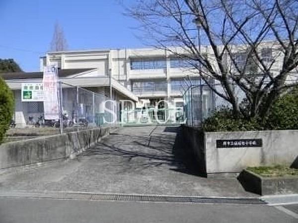 【周辺】堺市立槇塚台小学校