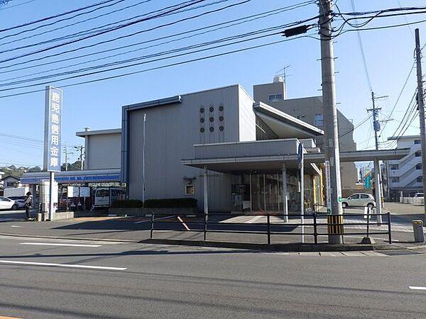 【周辺】鹿児島信用金庫城西支店 480m