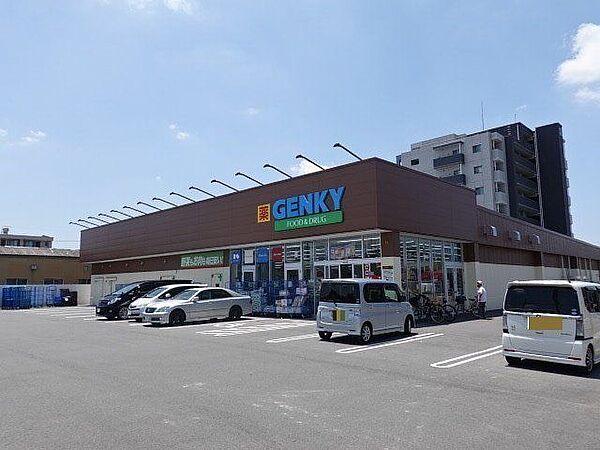 【周辺】「ゲンキー新居屋西店」　営業時間9時～21時　ドラッグストアですが、お薬などの以外にもお野菜やお肉・冷凍食品なども充実していてお値打ちに購入できます。 750m