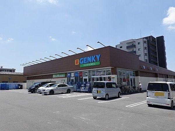 【周辺】「ゲンキー新居屋西店」　営業時間9時～21時　ドラッグストアですが、お薬などの以外にもお野菜やお肉・冷凍食品なども充実していてお値打ちに購入できます。 700m