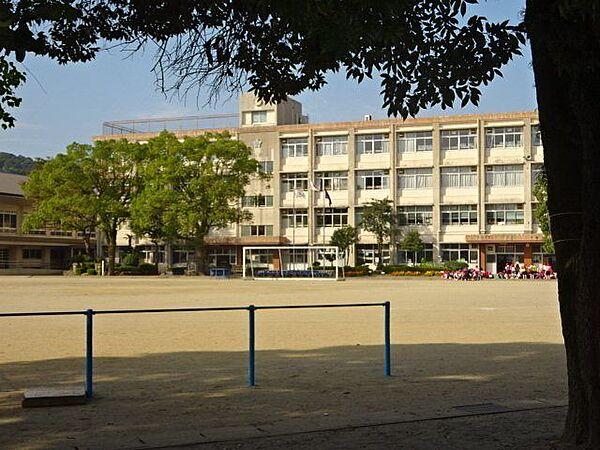 【周辺】武小学校【鹿児島市立武小学校】は、武1丁目に位置する1937年創立の小学校です。令和3年度の生徒数は555人で、23クラスあります。校訓は「かしこく　うつくしく　たくましく」です。 340m