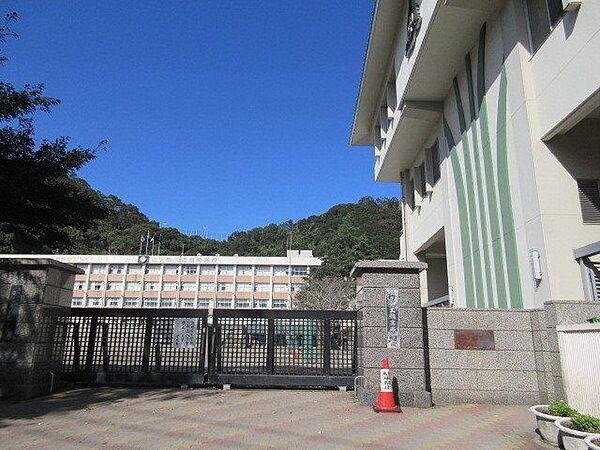 【周辺】鹿児島玉龍中学校・鹿児島玉龍高等学校【鹿児島市立鹿児島玉龍中学校】は、池之上町に位置する2006年創立の中学校です。令和3年度の生徒数は360人で、9クラスあります。校訓は「溌溂・躍進・玲瓏」です…