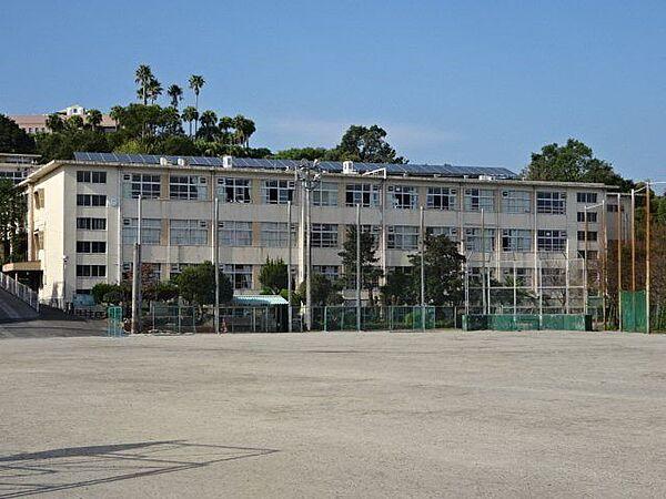 【周辺】武中学校【鹿児島市立武中学校】は、武3丁目に位置する1947年創立の中学校です。令和3年度の生徒数は497人で、16クラスあります。校訓は「自主・協同・永続・健康」です。 580m