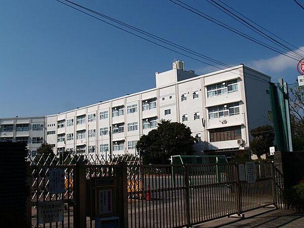 【周辺】横浜市立小雀小学校 徒歩10分。 800m