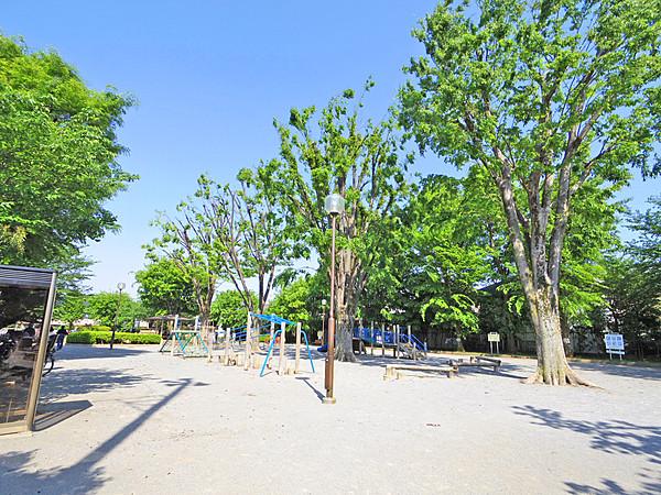 【周辺】子供が元気いっぱいの公園です。現地より歩3分