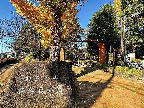 【周辺】井草森公園まで約250m