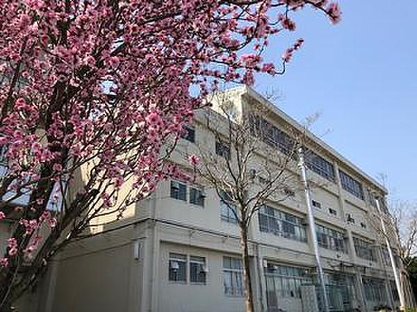 【周辺】横浜市立橘中学校 1455m