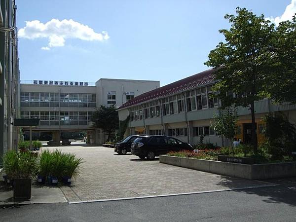 【周辺】新座市立東野小学校？601m？