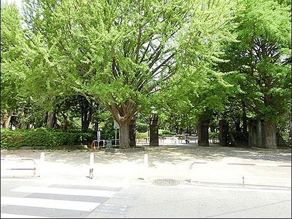【周辺】松戸中央公園 徒歩 約7分（約545m）