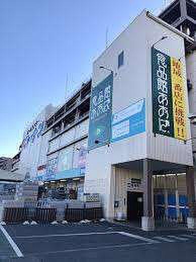 【周辺】スーパー「食品館あおば本羽田店まで236m」
