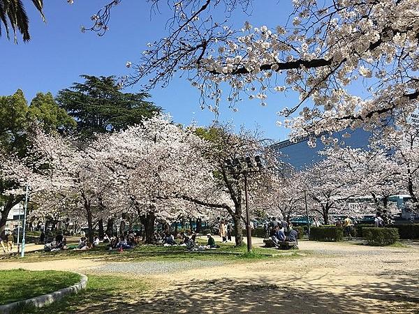 【周辺】向かいは大川沿いの南天満公園。春は桜、夏は天神祭りと、四季の移ろいを感じられるロケーションです。