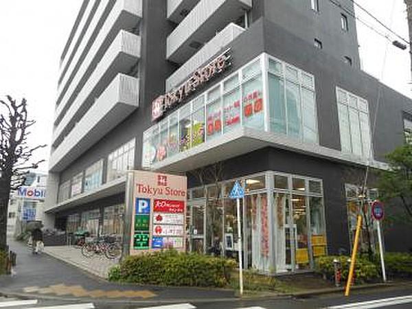 【周辺】スーパー駒沢通り野沢 東急ストアまで146ｍ