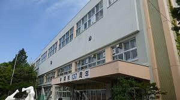 【周辺】【小学校】札幌市立山鼻小学校まで129ｍ