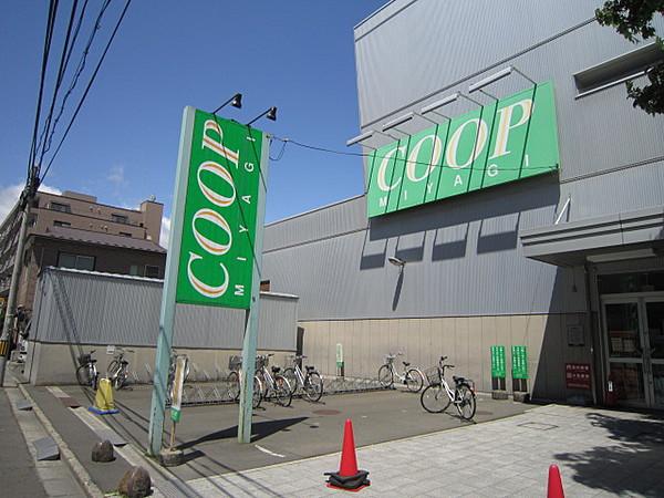 【周辺】COOP MIYAGI（みやぎ生協） 柏木店（831m）