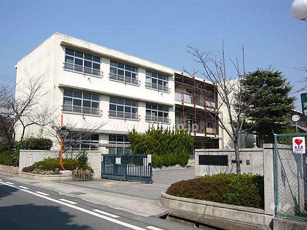 【周辺】香櫨園小学校[公立]の外観