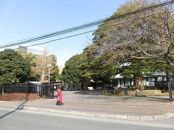 【周辺】私立淑徳大学千葉キャンパス  1452m