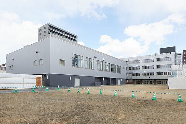 【周辺】小学校「札幌市立中央小学校まで243m」