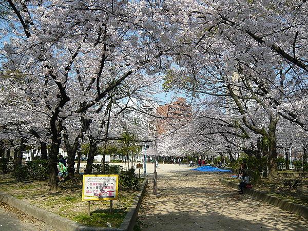 【周辺】中大江公園が近くにあり、春には桜が咲くのでお花見もできます