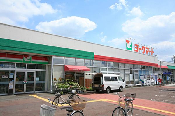 【周辺】ヨークマート厚木インター店 392m