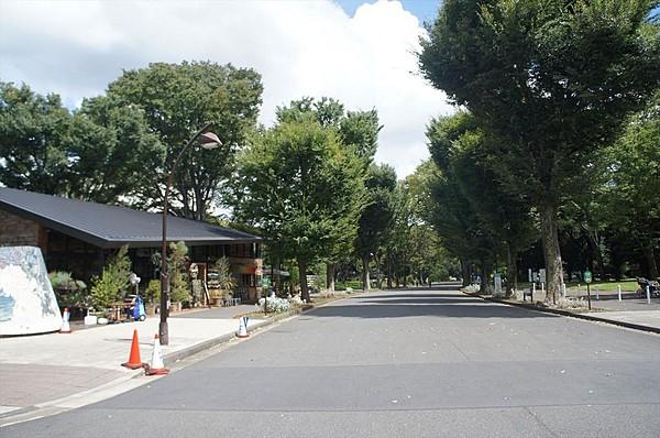 【周辺】徒歩圏内にある駒沢公園。ランニングやサイクリングをしている方がたくさん居ました。