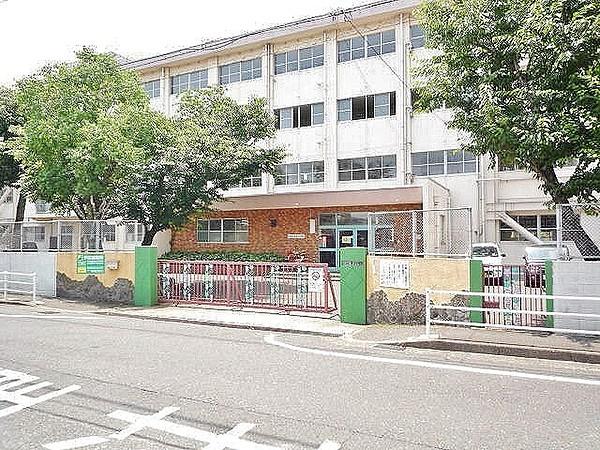 【周辺】足立小学校(620m)