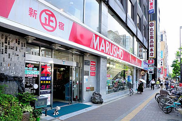 【周辺】スーパー丸正食品チェーン 総本店まで330ｍ