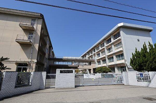 【周辺】【小学校】松山市立たちばな小学校まで1728ｍ