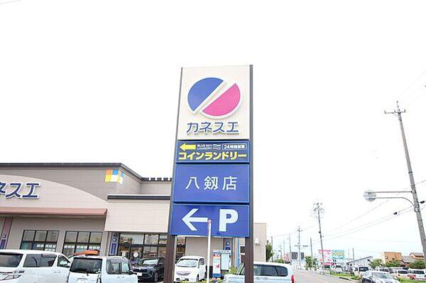 【周辺】カネスエ八剱店 1100m