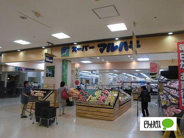 【周辺】スーパー「スーパーマルハチ明石店まで557m」