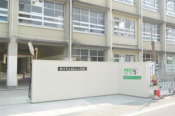 【周辺】枚方市立桜丘小学校（996m）